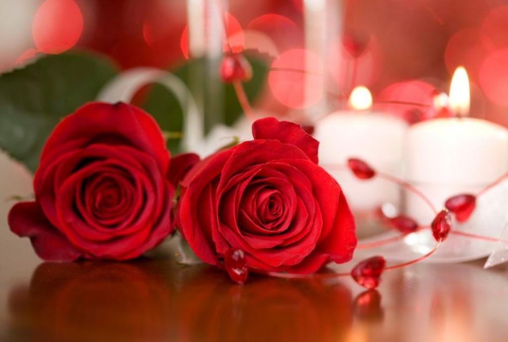 La Table de l’Ermitage